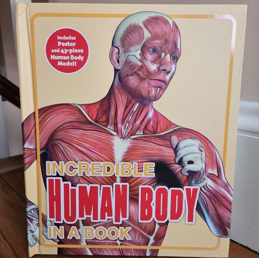 Incredible Human Body Kids  Book